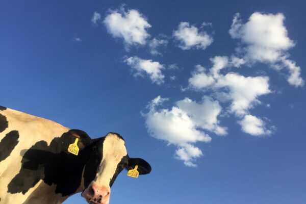Based on a thirty-year dairy industry forecast, stakeholders are ready for a high pace of innovation and going green.