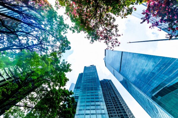 Confident View Ahead: The Sustainability Rules Are Changing. The Stakeholders, and the Case for Resilience, Are Not.